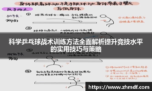 Bwin体育科学乒乓球战术训练方法全面解析提升竞技水平的实用技巧与策略